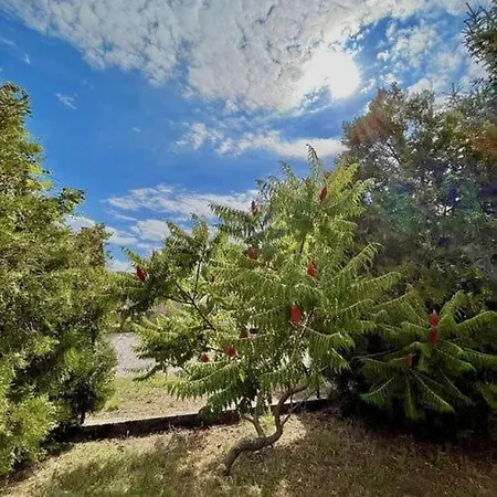 Brigitta Nyaralohaz Poroszló